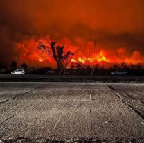 Se quema el norte de Salta: de cuánto es la millonaria multa a los culpables 