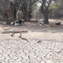 Senadores aprobaron la Emergencia Hídrica por la histórica sequía en Salta