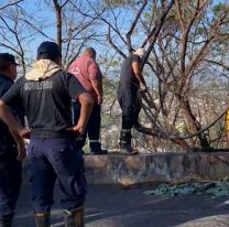 Se quema el cerro San Bernardo: bomberos trabajan en el lugar