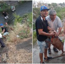 Salteños arriesgaron su vida para salvar una perrita que se cayó al canal