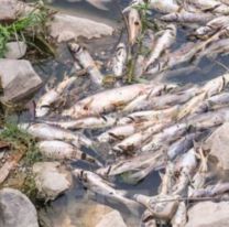 "El río Arenales está al nivel de contaminación del Riachuelo en Buenos Aires"