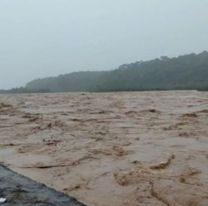 Alerta por la fuerte crecida y desborde del río Bermejo: hay temor en el norte