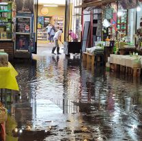 Violento temporal: se cayó el cielo y entró agua al Mercado San Miguel