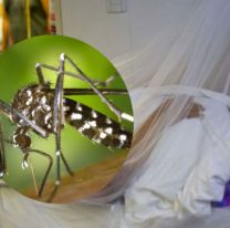 Dengue en Salta: confirmaron la peor noticia de la enfermedad