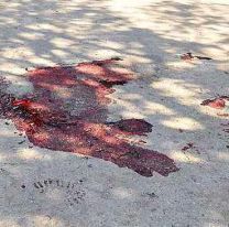 Salteño fue asesinado en plena calle de Salta: Varios lo golpearon y acuchillaron